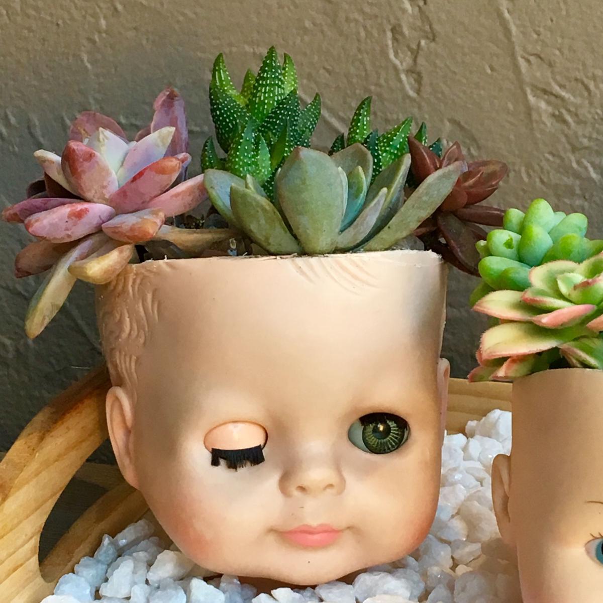 picture of a succulent planter made out of an upcycled baby doll